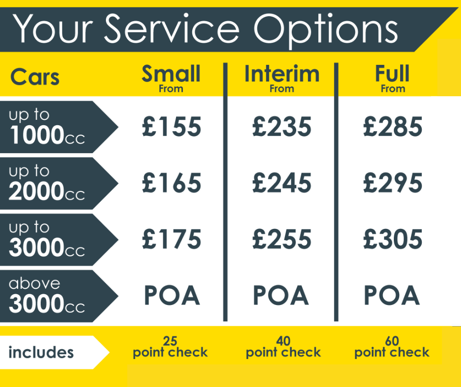 Bodymek 2026 Prices
