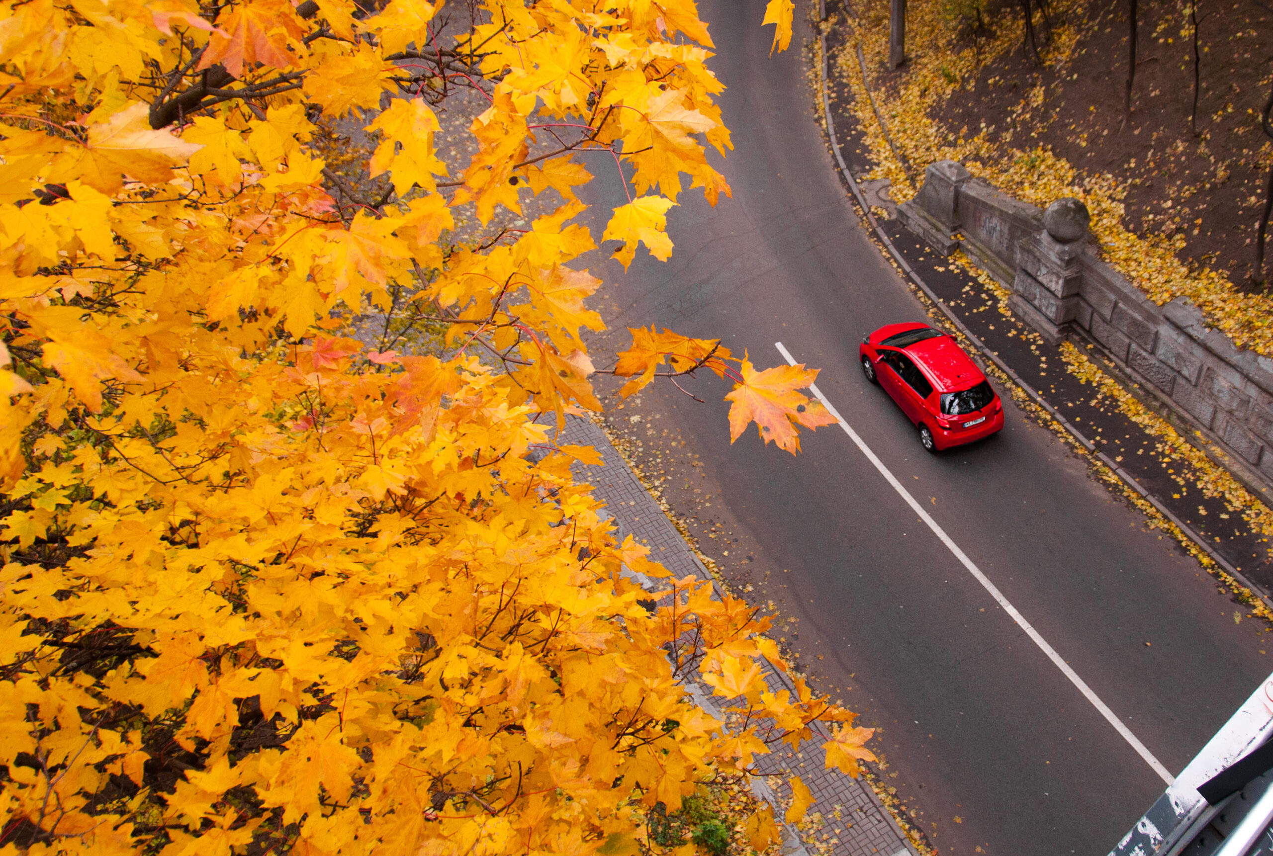 Preparing your car for autumn
